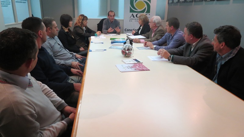 Reunião para formação do Conselho dos Núcleos
    