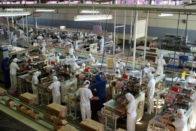 Produção Industrial em Santa Catarina segue em baixa
    