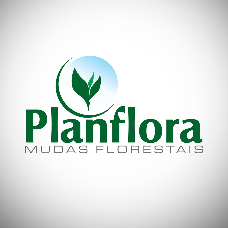 Planflora: Mais uma associada à ACIC
    