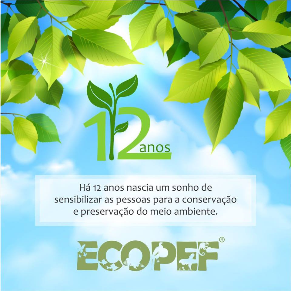 Ecopef desempenha um importante papel para o Meio Ambiente na região
    