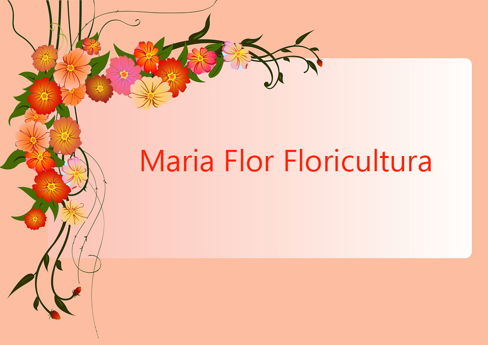 Maria Flor Floricultura: Mais uma associada à ACIC
    